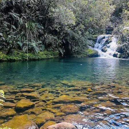 Coromandel Secluded Log Cabin Retreat Hikuai 외부 사진