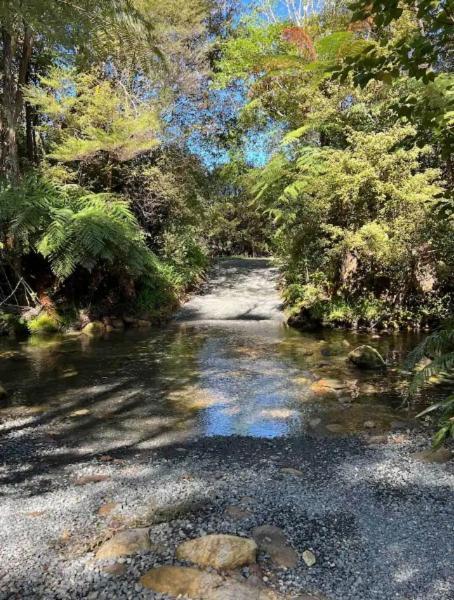 Coromandel Secluded Log Cabin Retreat Hikuai 외부 사진