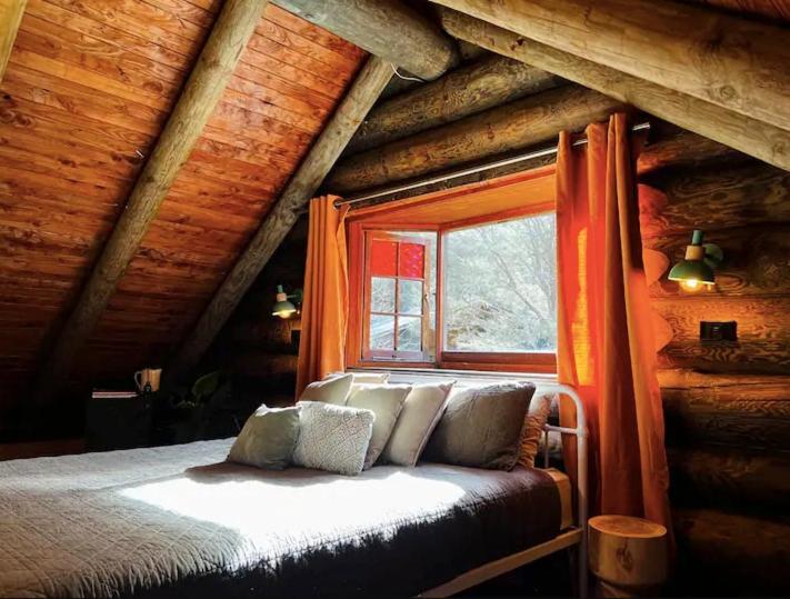 Coromandel Secluded Log Cabin Retreat Hikuai 외부 사진