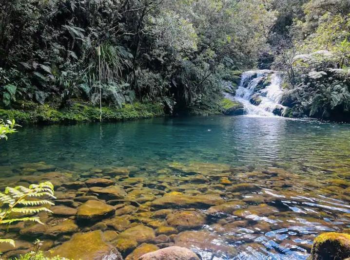 Coromandel Secluded Log Cabin Retreat Hikuai 외부 사진