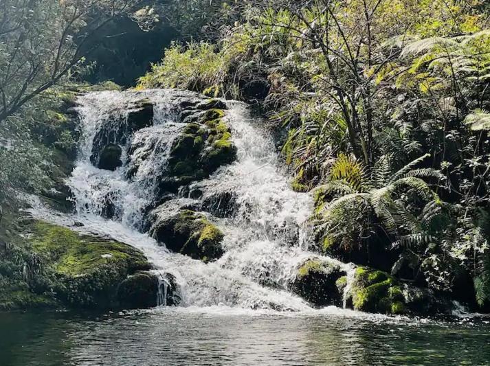 Coromandel Secluded Log Cabin Retreat Hikuai 외부 사진