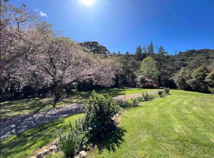 Coromandel Secluded Log Cabin Retreat Hikuai 외부 사진